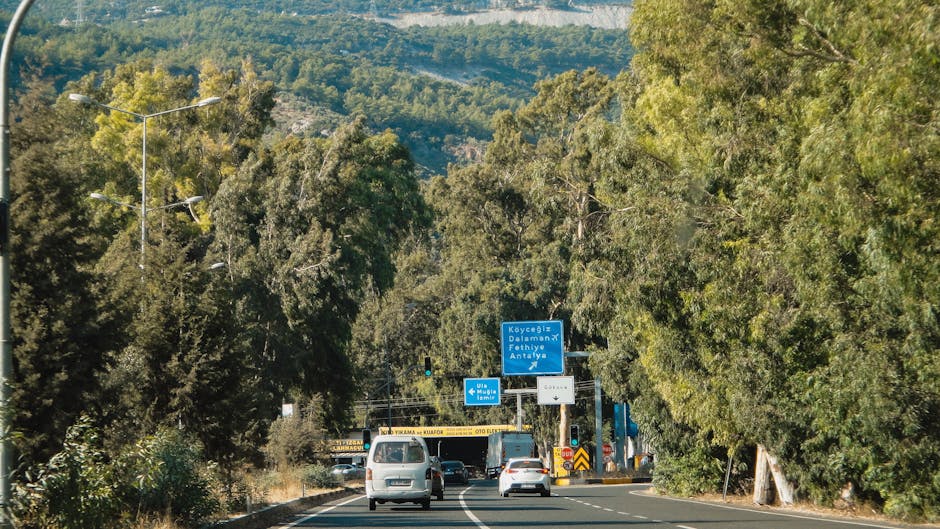 Fethiye Araba Kiralama mı Dalaman mı? Avantajlarıyla Rehber